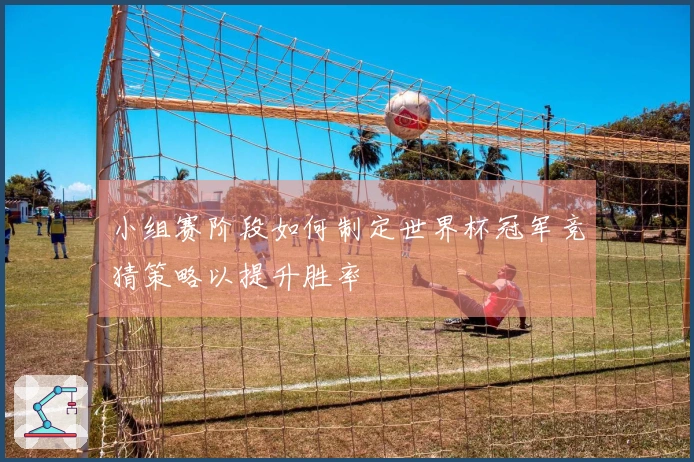 小组赛阶段如何制定世界杯冠军竞猜策略以提升胜率